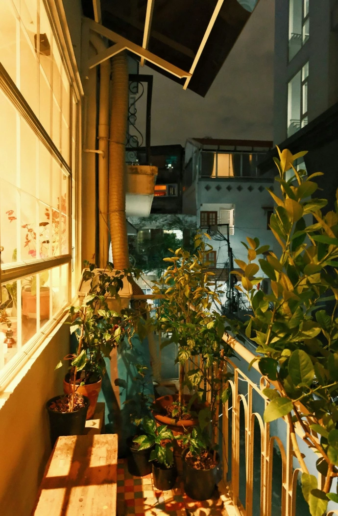 Balcony filled with potted plants at night.